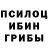 Псилоцибиновые грибы Cubensis yon oh