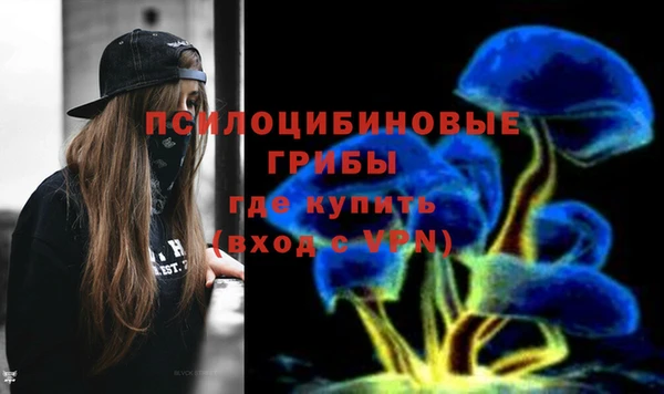 трава Абаза