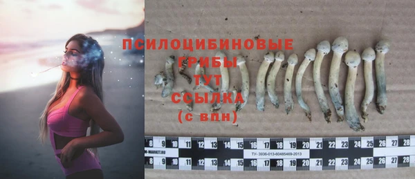 трава Абаза