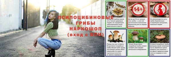 трава Абаза