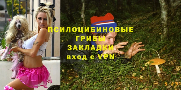 бошки Абинск