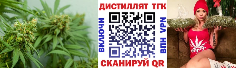 ТГК Wax  Сальск 